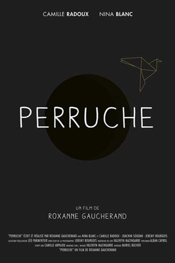 Perruche