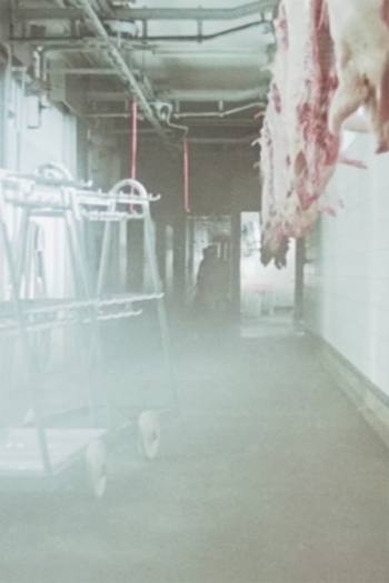 IX/75 Schlachthof