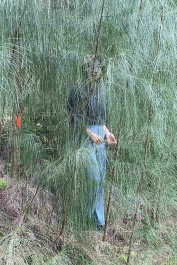 Hair is a piece of head