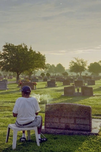 The South is My Sister's Skin