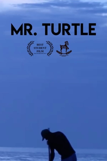 Mr. Turtle