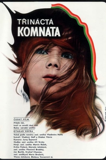 The Thirteenth Chamber