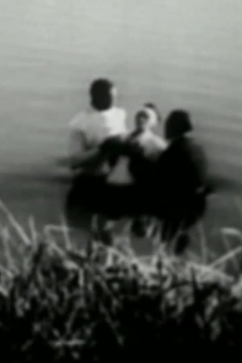 I Came for the Wedding