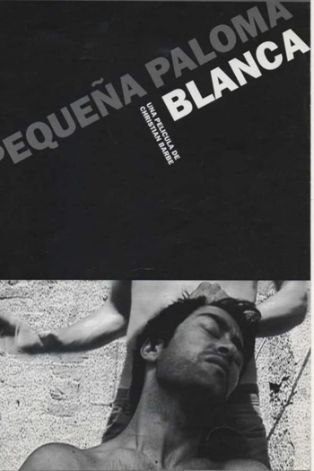 Pequeña paloma blanca