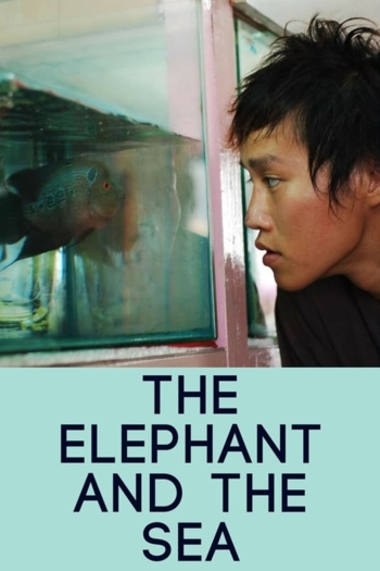 The Elephant and the Sea