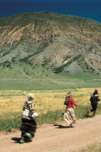 The Nightly Song of the Travellers