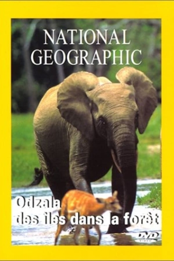 National Geographic : Odzalla, des îles dans la forêt