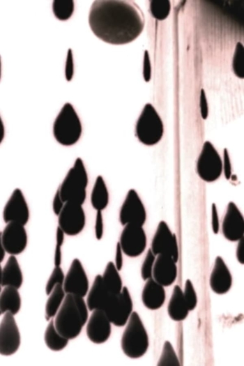 Something To Treasure