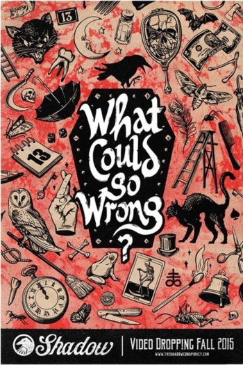 What Could Go Wrong?