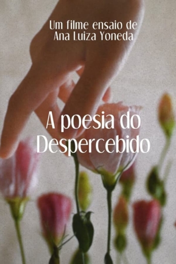 A Poesia Do Despercebido