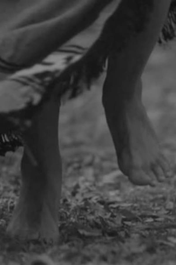 Wiñoy Xipantu, otra vuelta al sol