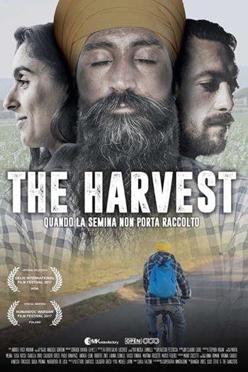 The Harvest