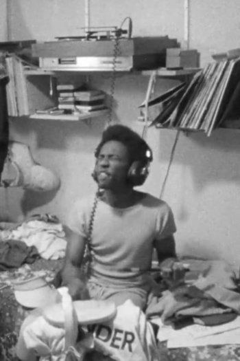 Transmagnifican Dambamuality