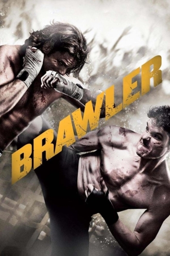 Brawler