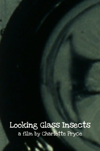 Looking Glass Insects