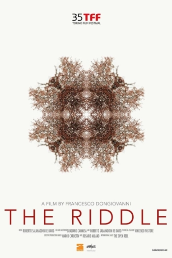 The Riddle