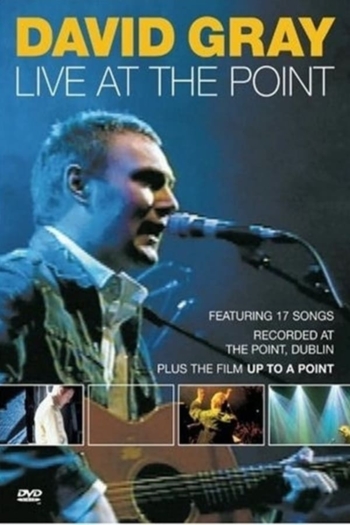 David Gray: Live at the Point