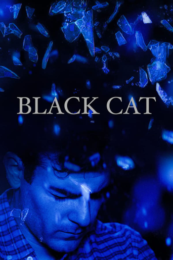 Black Cat