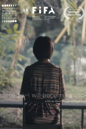 Someday I Will Become a Rock