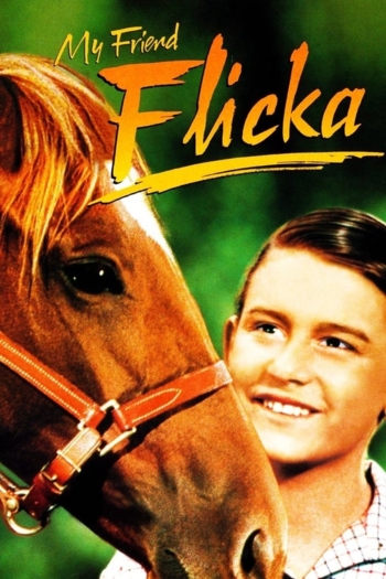 My Friend Flicka