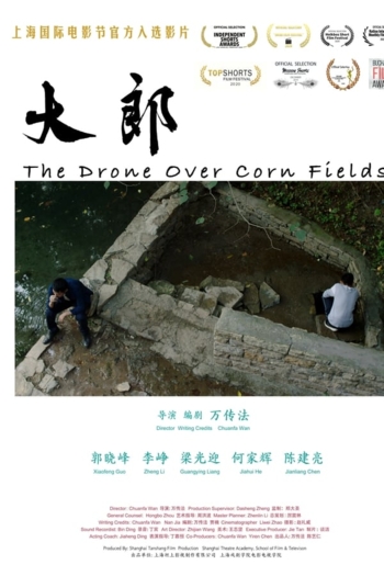 The Drone Over Corn Fields