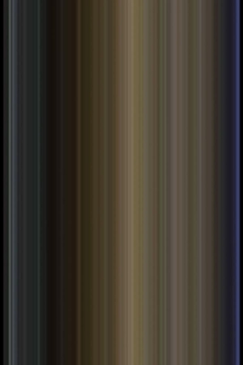 Portrait of a Young Woman