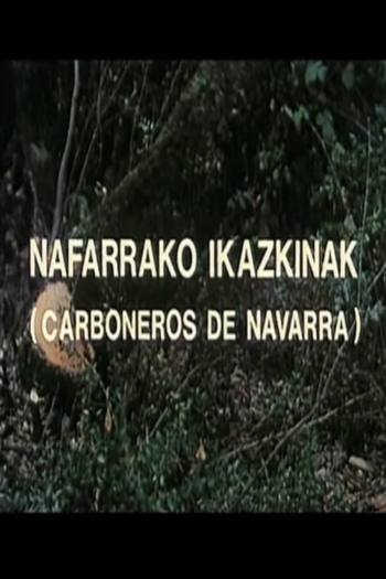 Nafarrako ikazkinak