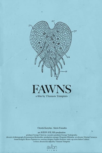Fawns