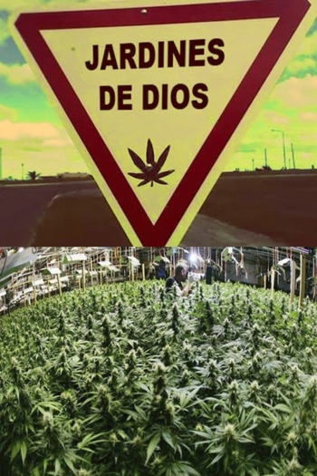 Jardines de Dios