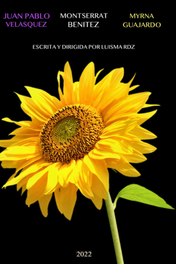 De la Noche a la Mañana