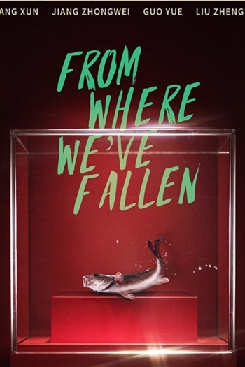 From Where We've Fallen