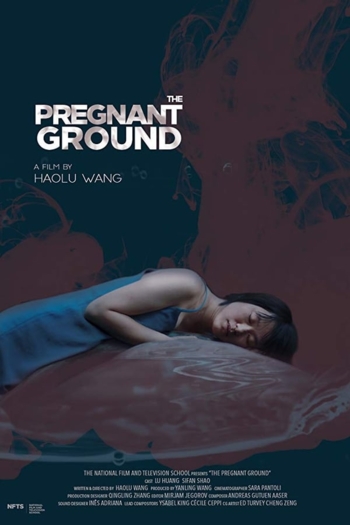 The Pregnant Ground