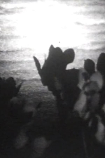 Looking In and Out (A Winter Diary)