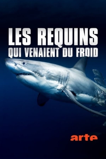 Les requins qui venaient du froid