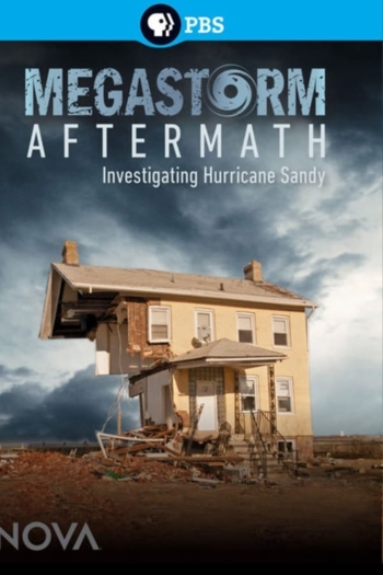 Megastorm Aftermath