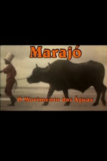 Marajó: A Origem das Águas