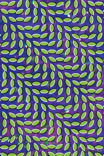 Actor Animal Collective