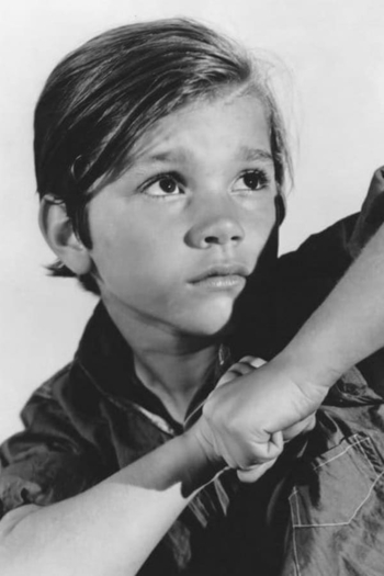 Actor Darryl Hickman