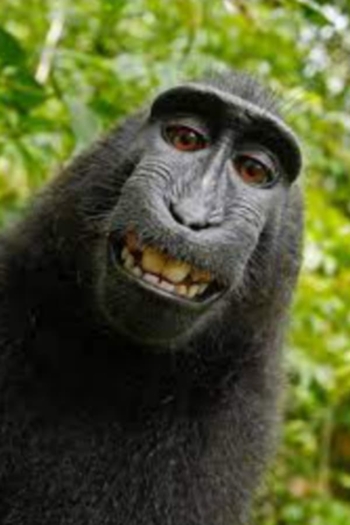 Actor Muhammed Ali Akdemir