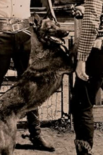 Actor Dynamite the Dog