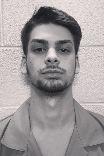 Actor Chandler Hallow