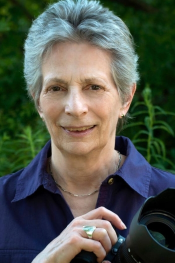 Film director Liane Brandon