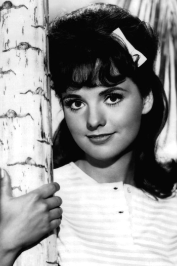 Actor Dawn Wells