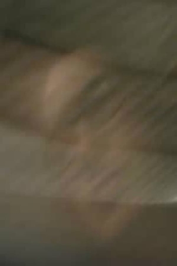 Film director Brian Wilson