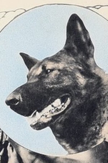 Actor Wolfheart the Dog