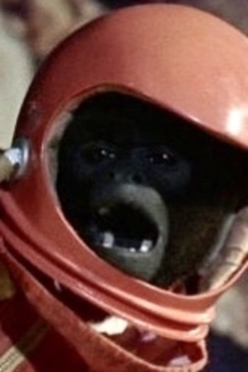 Actor The Woolly Monkey
